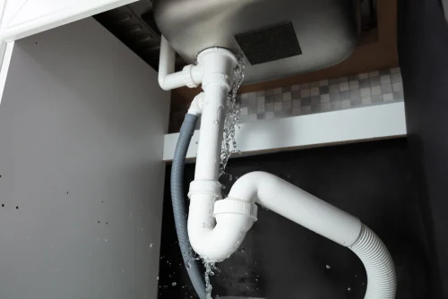 How to Prevent and Deal with Common Spring and Summer Plumbing Issues